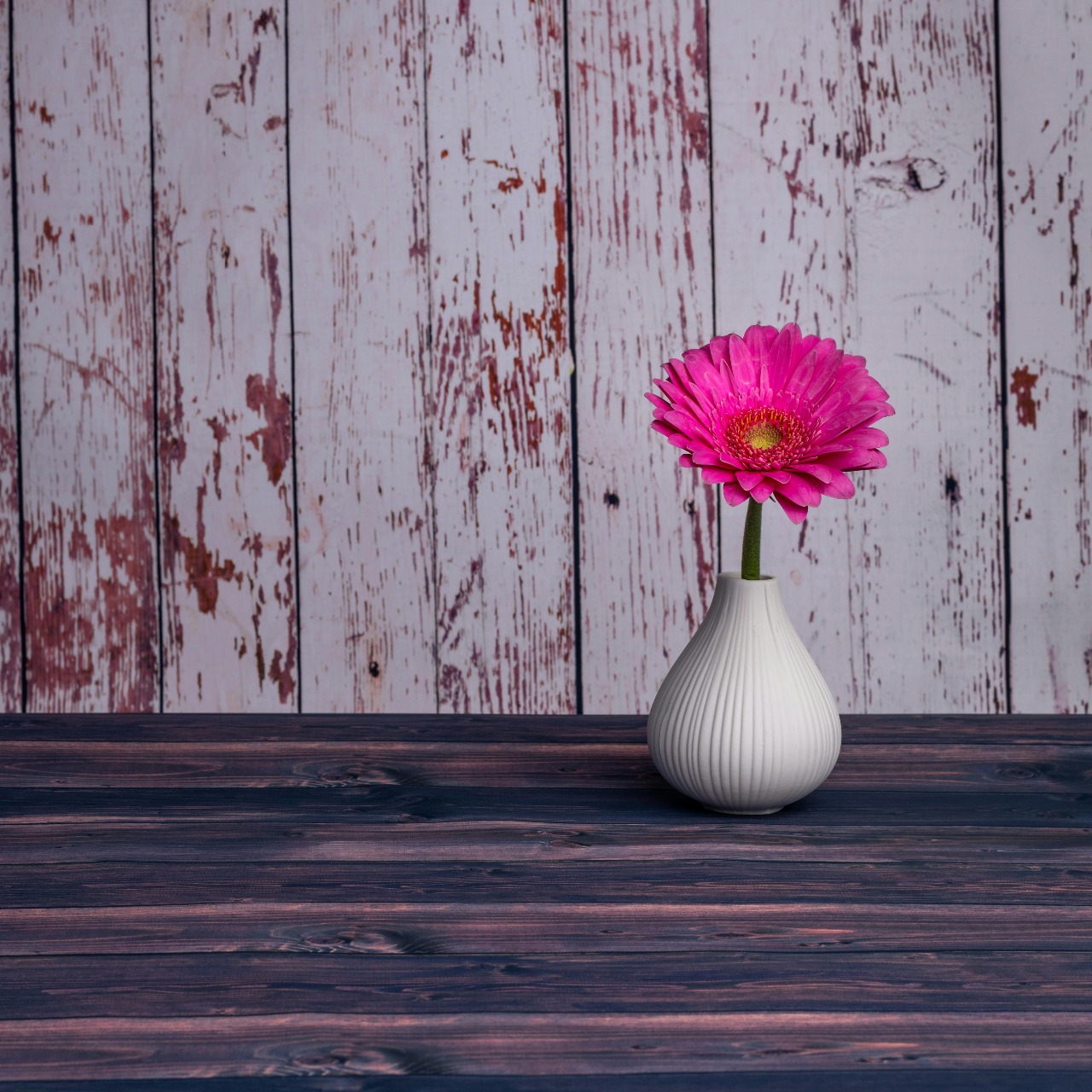 pinke Gerbera in einer weißen Vase mit Rillen vor einer alten, weißen Holzvertäfelung